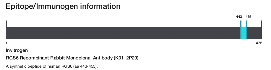 RGS6 Recombinant Rabbit Monoclonal Antibody (K01_2P29)