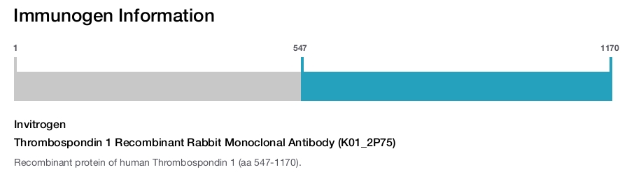 Thrombospondin 1 Recombinant Rabbit Monoclonal Antibody (K01_2P75)