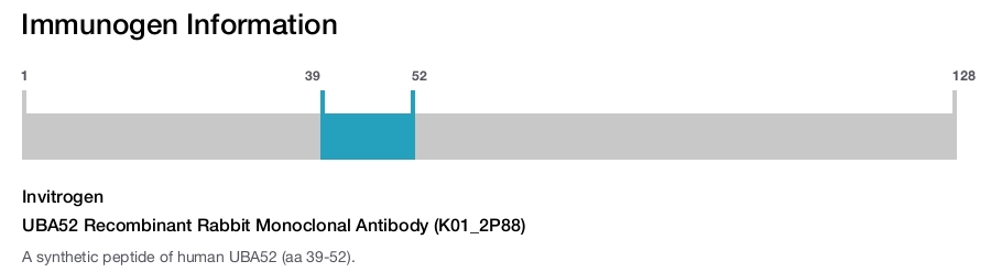 UBA52 Recombinant Rabbit Monoclonal Antibody (K01_2P88)