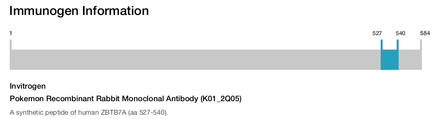 Pokemon Recombinant Rabbit Monoclonal Antibody (K01_2Q05)