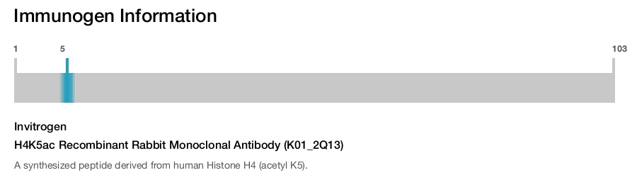 H4K5ac Recombinant Rabbit Monoclonal Antibody (K01_2Q13)