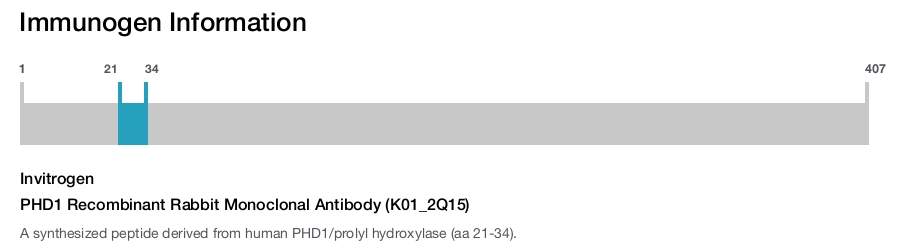 PHD1 Recombinant Rabbit Monoclonal Antibody (K01_2Q15)