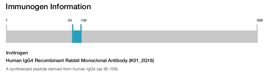 Human IgG4 Recombinant Rabbit Monoclonal Antibody (K01_2Q16)