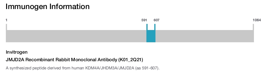 JMJD2A Recombinant Rabbit Monoclonal Antibody (K01_2Q21)
