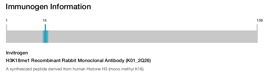 H3K18me1 Recombinant Rabbit Monoclonal Antibody (K01_2Q26)