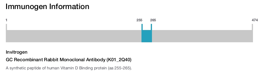 GC Recombinant Rabbit Monoclonal Antibody (K01_2Q40)