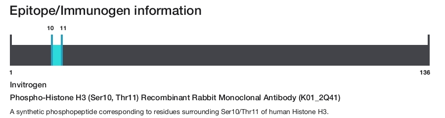 Phospho-Histone H3 (Ser10, Thr11) Recombinant Rabbit Monoclonal Antibody (K01_2Q41)