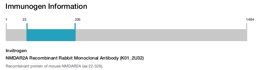 NMDAR2A Recombinant Rabbit Monoclonal Antibody (K01_2U32)