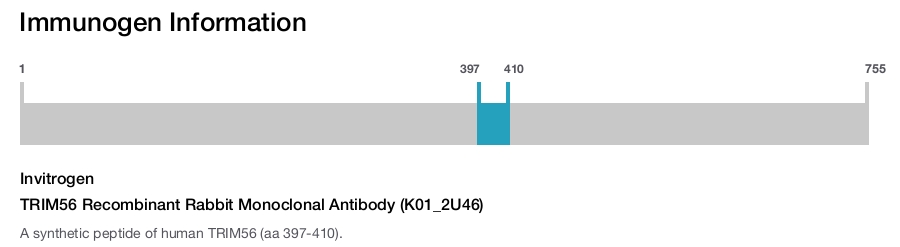 TRIM56 Recombinant Rabbit Monoclonal Antibody (K01_2U46)
