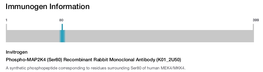 Phospho-MAP2K4 (Ser80) Recombinant Rabbit Monoclonal Antibody (K01_2U50)