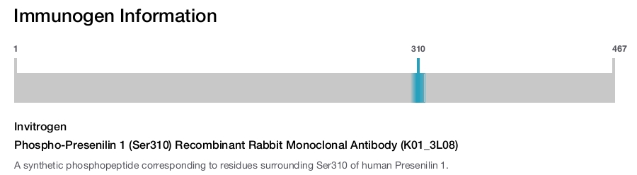 Phospho-Presenilin 1 (Ser310) Recombinant Rabbit Monoclonal Antibody (K01_3L08)