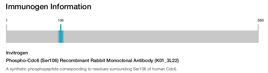 Phospho-Cdc6 (Ser106) Recombinant Rabbit Monoclonal Antibody (K01_3L22)