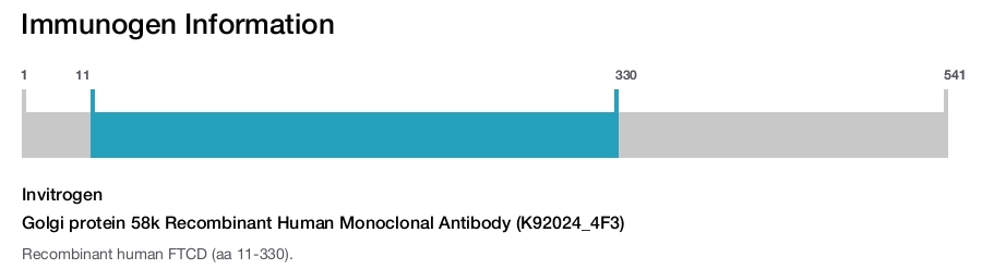 Golgi protein 58k Recombinant Human Monoclonal Antibody (K92024_4F3)