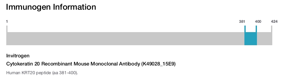Cytokeratin 20 Recombinant Mouse Monoclonal Antibody (K49028_15E9)