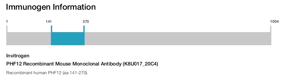 PHF12 Recombinant Mouse Monoclonal Antibody (K8U017_20C4)