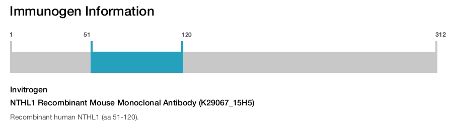 NTHL1 Recombinant Mouse Monoclonal Antibody (K29067_15H5)
