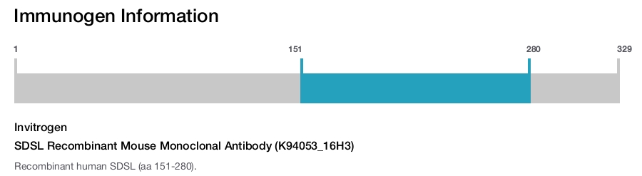 SDSL Recombinant Mouse Monoclonal Antibody (K94053_16H3)