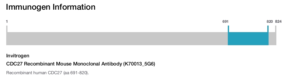 CDC27 Recombinant Mouse Monoclonal Antibody (K70013_5G6)