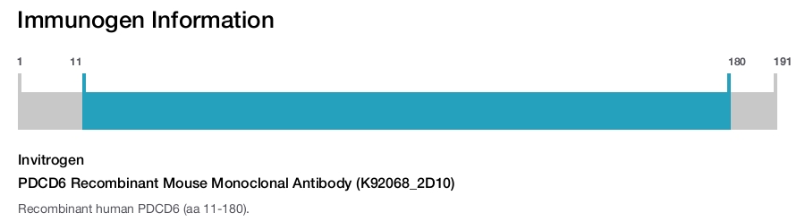PDCD6 Recombinant Mouse Monoclonal Antibody (K92068_2D10)