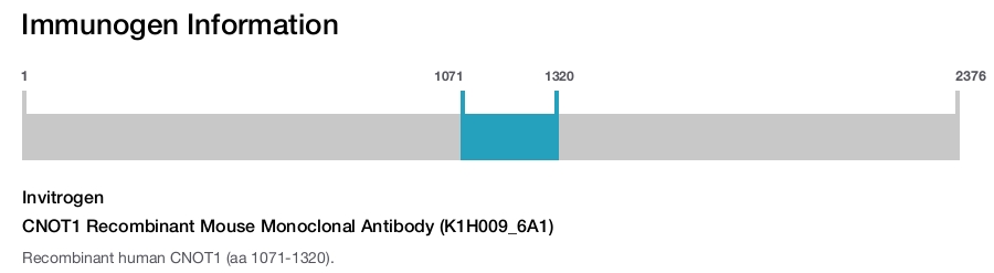 CNOT1 Recombinant Mouse Monoclonal Antibody (K1H009_6A1)