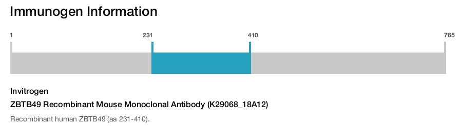 ZBTB49 Recombinant Mouse Monoclonal Antibody (K29068_18A12)