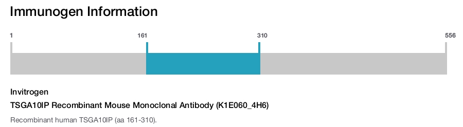 TSGA10IP Recombinant Mouse Monoclonal Antibody (K1E060_4H6)