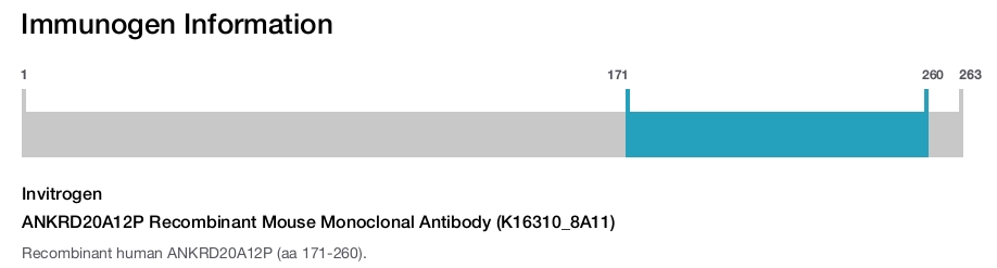 ANKRD20A12P Recombinant Mouse Monoclonal Antibody (K16310_8A11)
