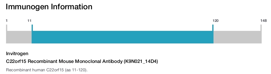 C22orf15 Recombinant Mouse Monoclonal Antibody (K9N021_14D4)