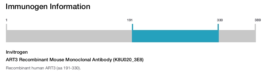 ART3 Recombinant Mouse Monoclonal Antibody (K8U020_3E8)