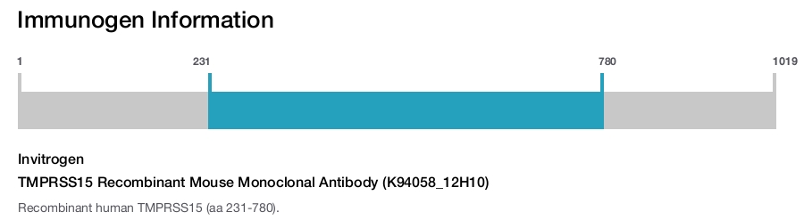 TMPRSS15 Recombinant Mouse Monoclonal Antibody (K94058_12H10)