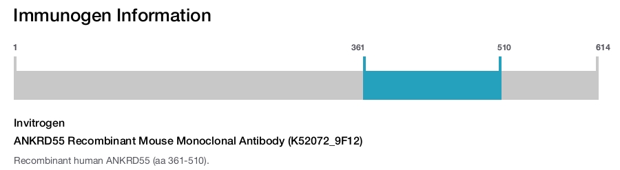 ANKRD55 Recombinant Mouse Monoclonal Antibody (K52072_9F12)