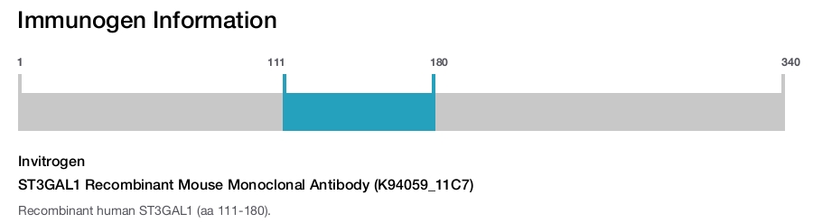 ST3GAL1 Recombinant Mouse Monoclonal Antibody (K94059_11C7)