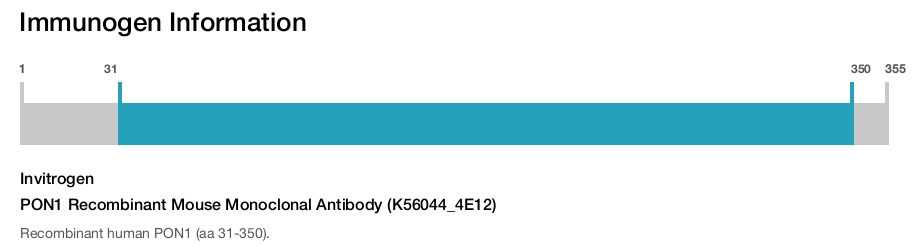 PON1 Recombinant Mouse Monoclonal Antibody (K56044_4E12)