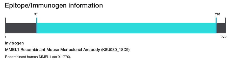MMEL1 Recombinant Mouse Monoclonal Antibody (K8U030_18D9)