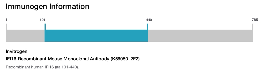 IFI16 Recombinant Mouse Monoclonal Antibody (K56050_2F2)