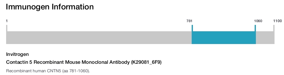 Contactin 5 Recombinant Mouse Monoclonal Antibody (K29081_6F9)
