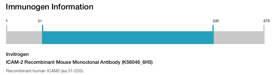 ICAM-2 Recombinant Mouse Monoclonal Antibody (K56046_6H3)
