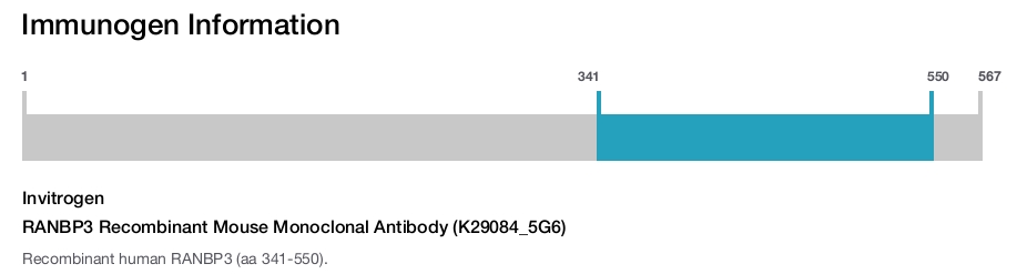 RANBP3 Recombinant Mouse Monoclonal Antibody (K29084_5G6)