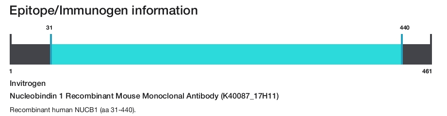 Nucleobindin 1 Recombinant Mouse Monoclonal Antibody (K40087_17H11)
