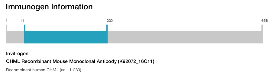 CHML Recombinant Mouse Monoclonal Antibody (K92072_16C11)