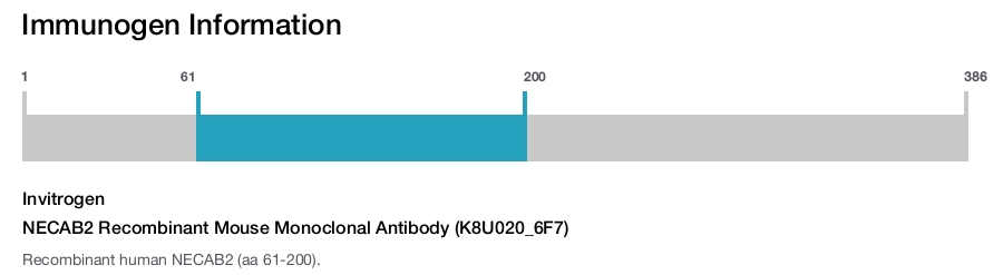NECAB2 Recombinant Mouse Monoclonal Antibody (K8U020_6F7)