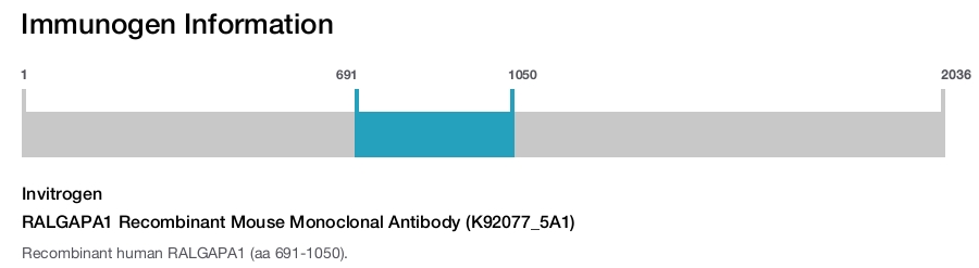 RALGAPA1 Recombinant Mouse Monoclonal Antibody (K92077_5A1)