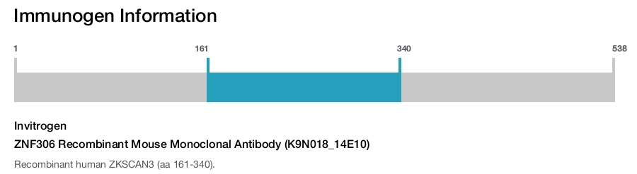 ZNF306 Recombinant Mouse Monoclonal Antibody (K9N018_14E10)