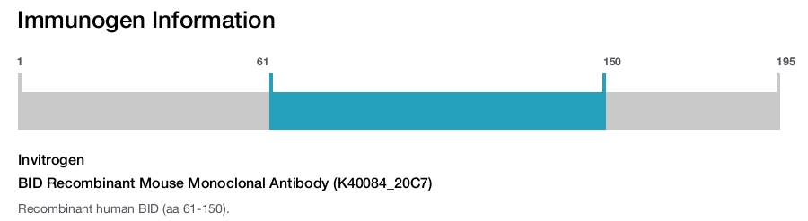 BID Recombinant Mouse Monoclonal Antibody (K40084_20C7)