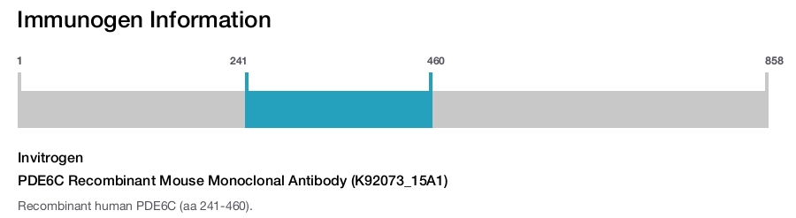 PDE6C Recombinant Mouse Monoclonal Antibody (K92073_15A1)
