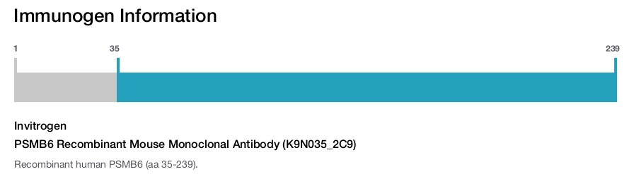 PSMB6 Recombinant Mouse Monoclonal Antibody (K9N035_2C9)