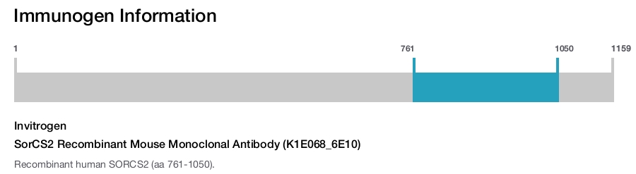 SorCS2 Recombinant Mouse Monoclonal Antibody (K1E068_6E10)
