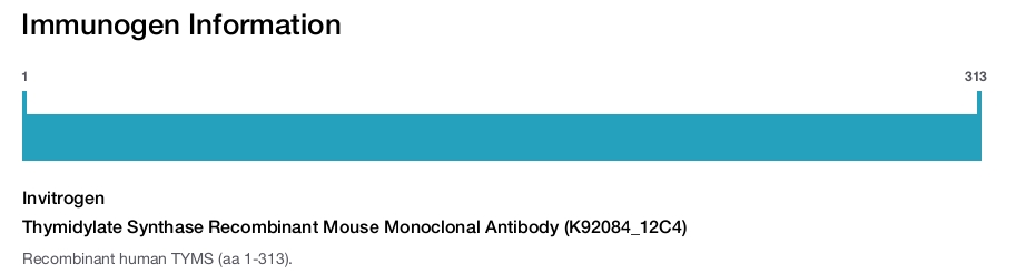 Thymidylate Synthase Recombinant Mouse Monoclonal Antibody (K92084_12C4)