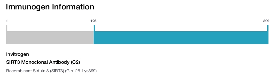 SIRT3 Monoclonal Antibody (C2)