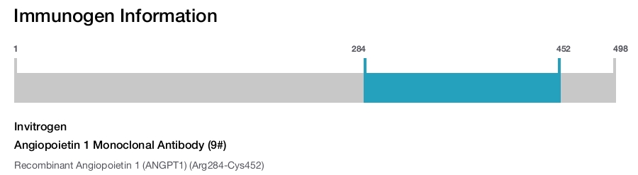 Angiopoietin 1 Monoclonal Antibody (9#)
